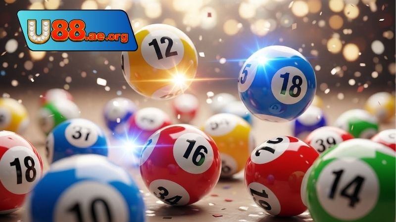 Lô kép khung 1 ngày, bắt nhanh và tối ưu hiệu suất