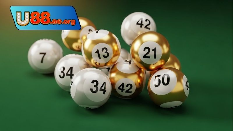 Nuôi lô bạch thủ khung 5 ngày, chiến thuật dài hơi 