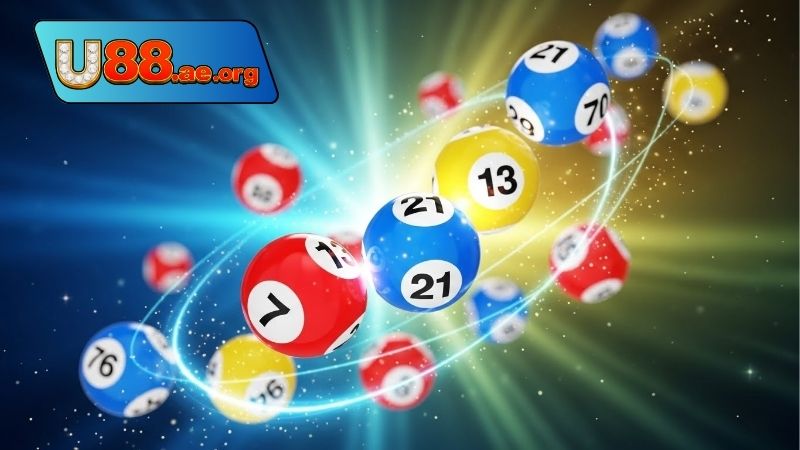 Nuôi lô khung 5 ngày rồng bạch kim ăn quanh năm